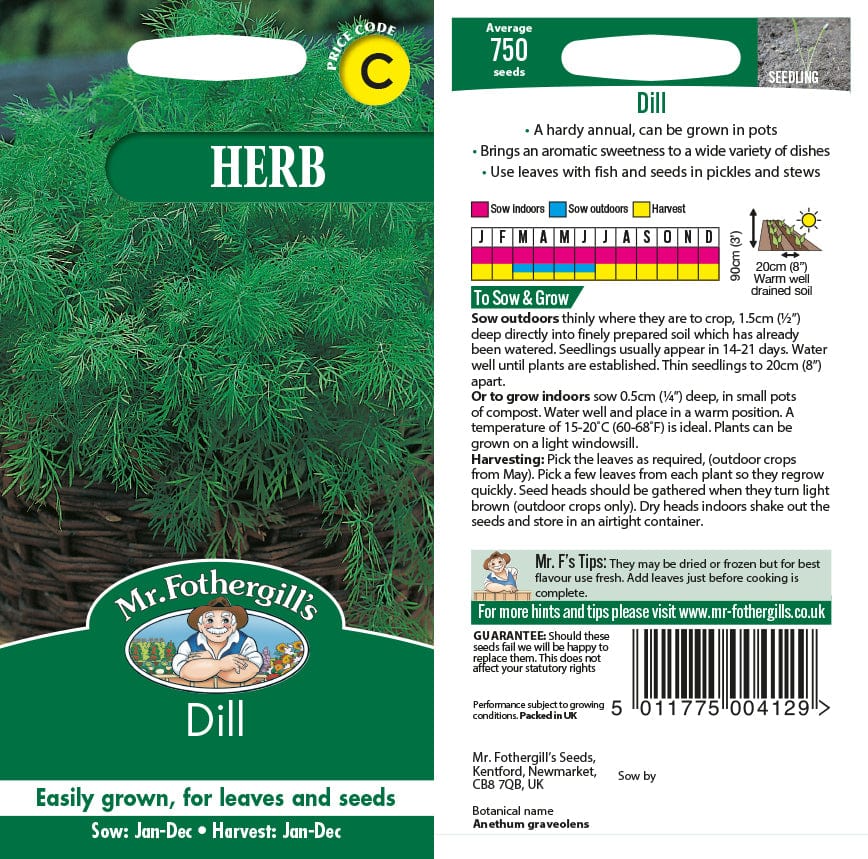 Dill Herb