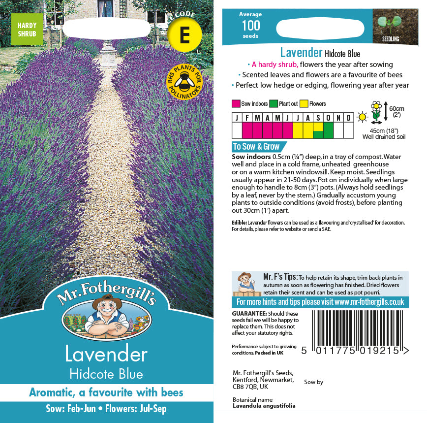 Lavender Hidcote Blue Seeds
