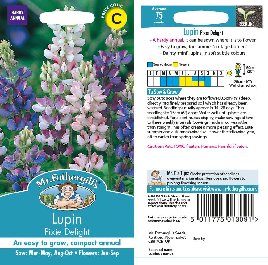 Lupin Pixie Delight Seeds