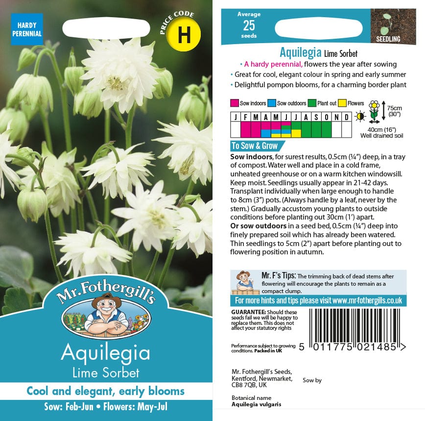 PREMIER SEEDS DIRECT - AQUILEGIA - Columbine - McKANAS Giant Mix - 300 Seeds