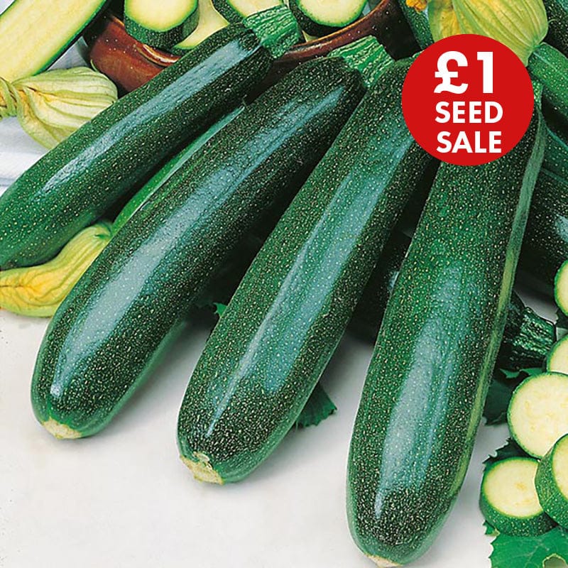 Courgette Zucchini Seeds