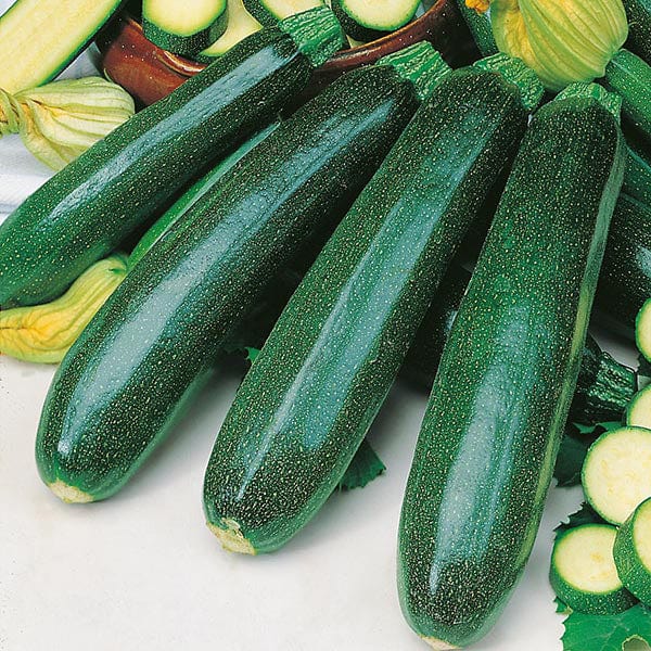 Courgette Zucchini Seeds