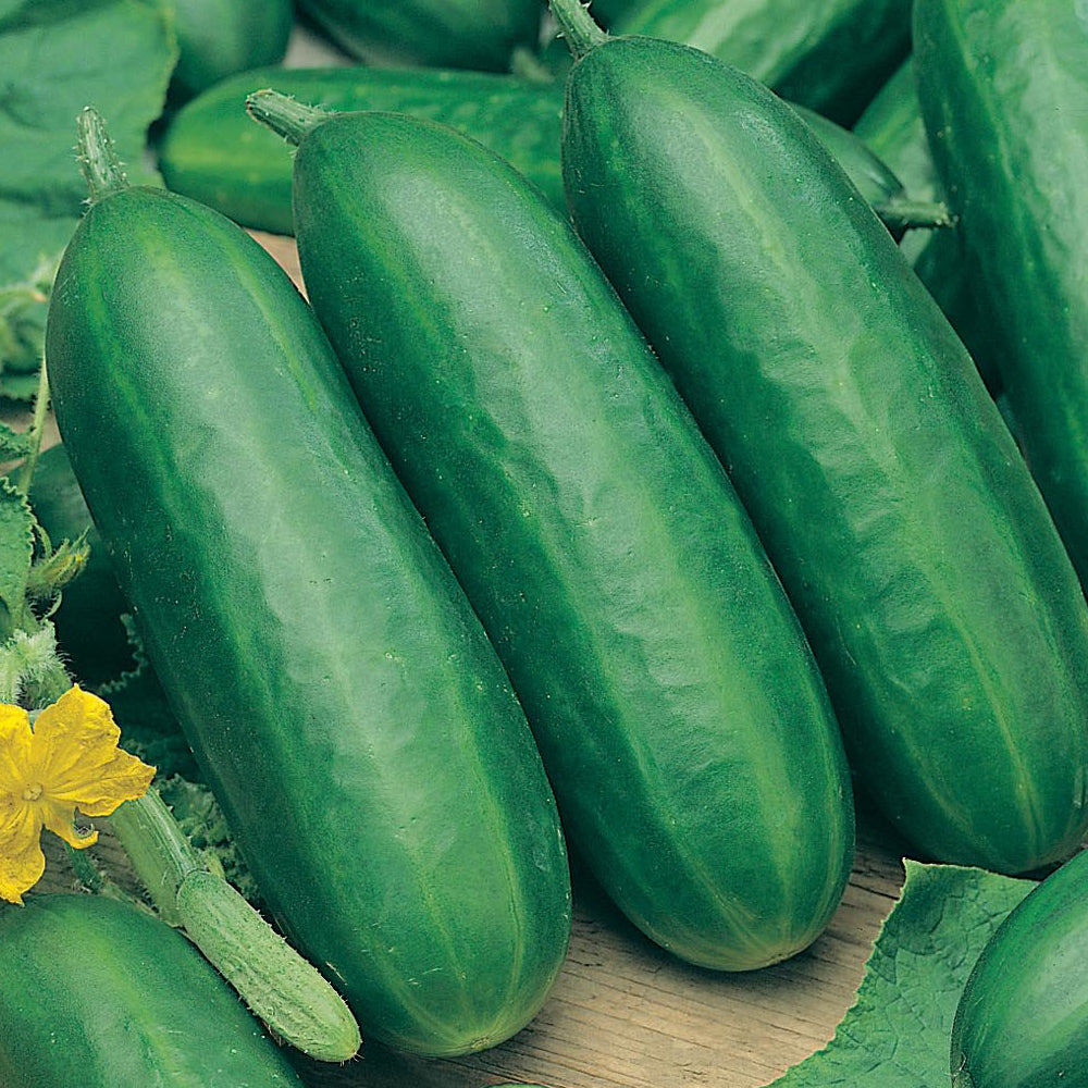Green cucumbers on a wooden surface with a yellow flower in the background