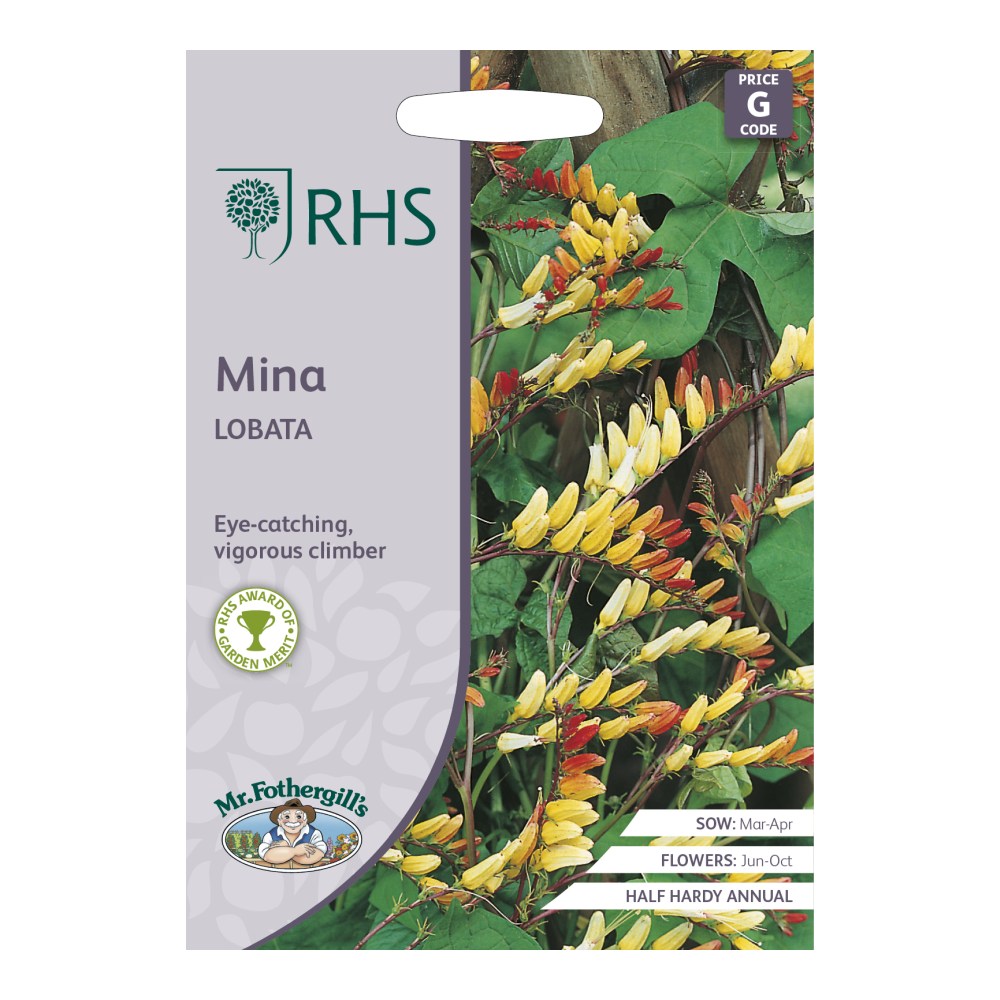RHS Mina lobata Seeds