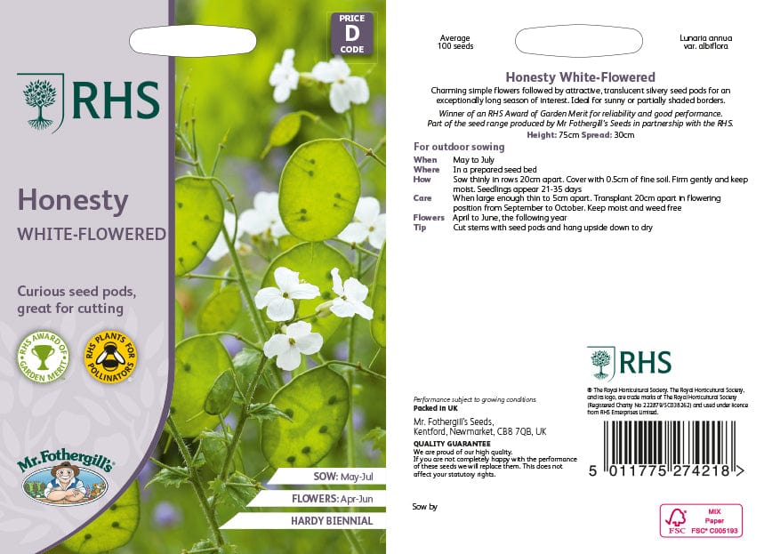 RHS Honesty White-Flowered