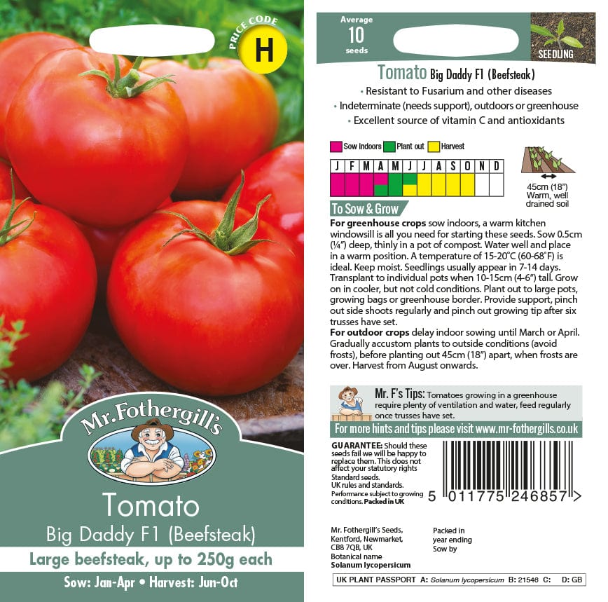 Tomato (Beefsteak) Big Daddy F1 Seeds