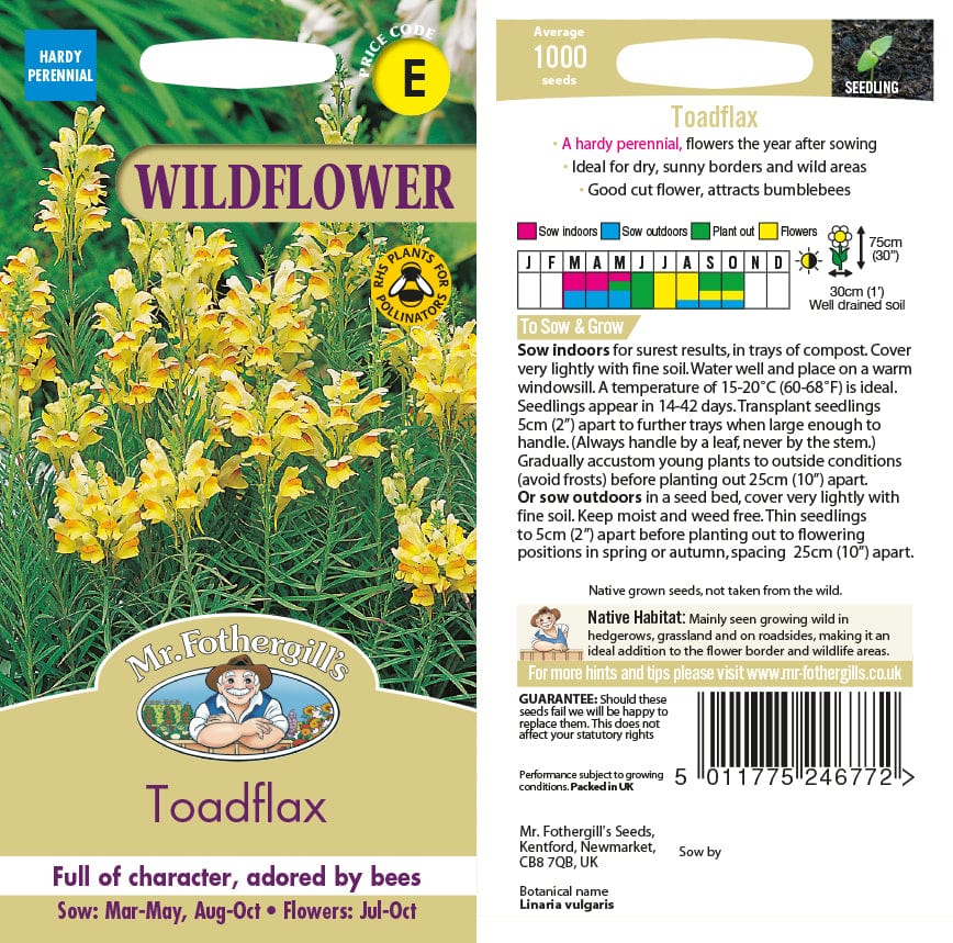 Toadflax Seeds