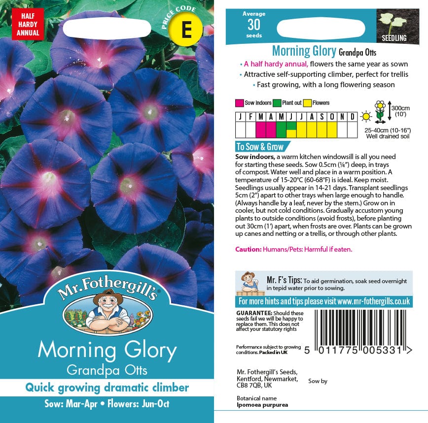 Morning Glory Grandpa Otts Seeds