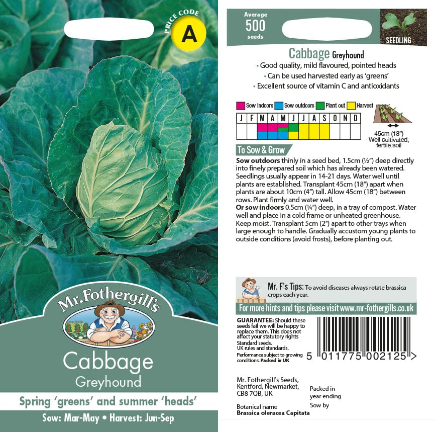 Cabbage Greyhound Seeds