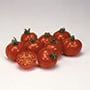 3 x 9cm Potted Plants (LATE) Tomato (Standard) Bloody Butcher Vegetable Plants
