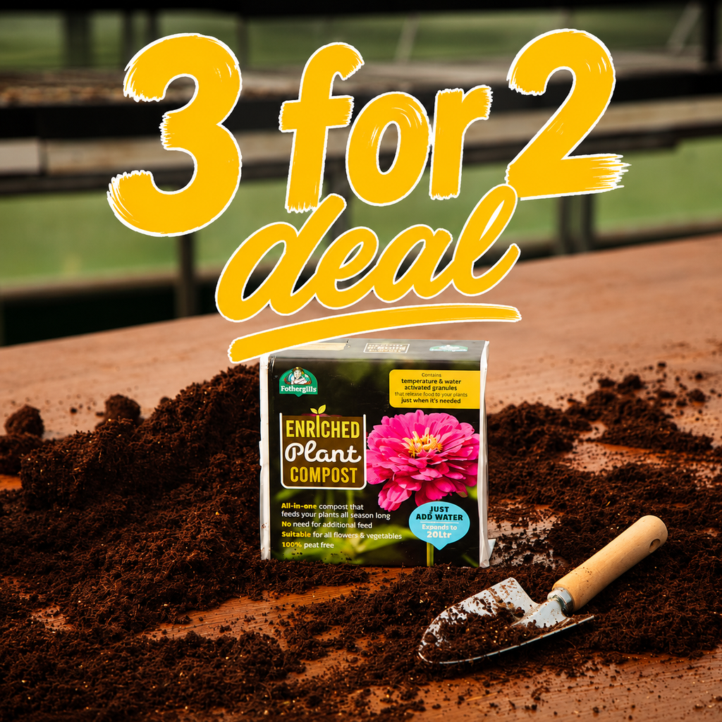 Fothergills Enriched Plant Compost 3 2 Deal
