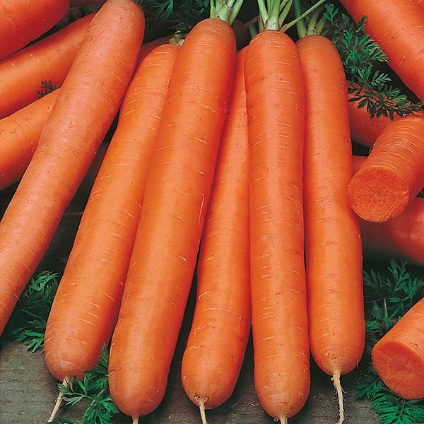 David Domoney, Get Growing Carrot Finger