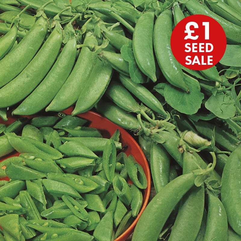 David Domoney, Get Growing Pea Snap