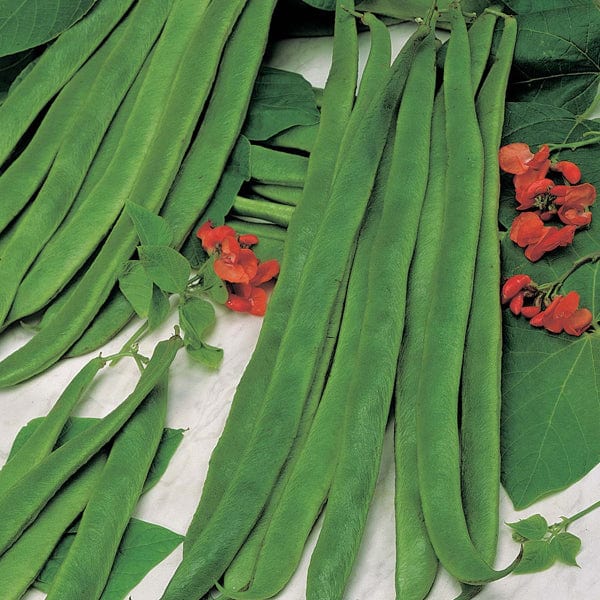 David Domoney, Get Growing Runner Bean Seeds