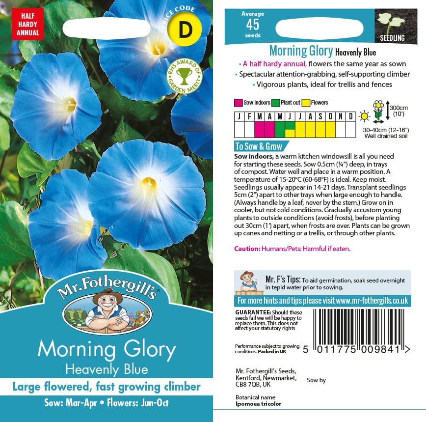 Morning Glory Heavenly Blue Seeds