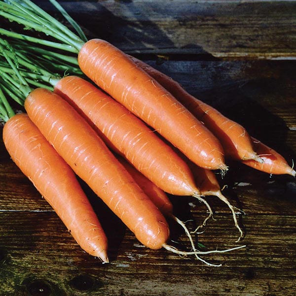 Carrot Eskimo F1 Seeds