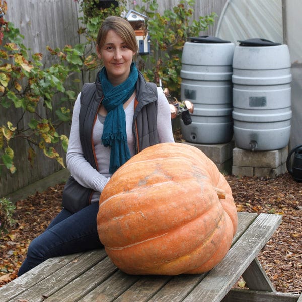 Pumpkin Atlantic Giant Seeds