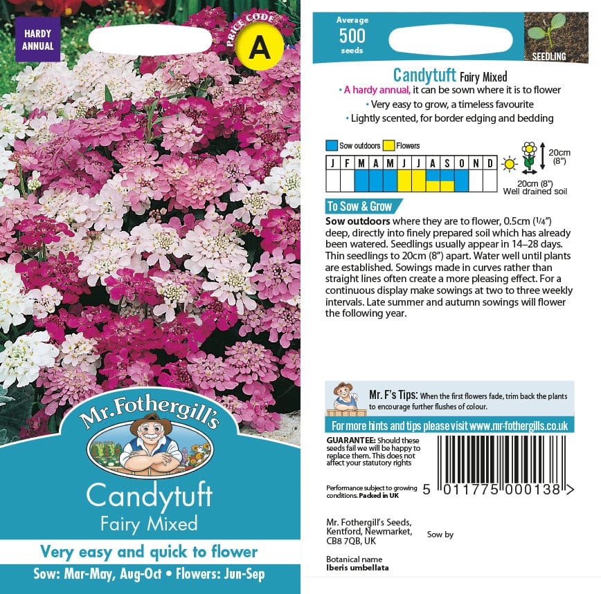 Candytuft Fairy Mixed Seeds