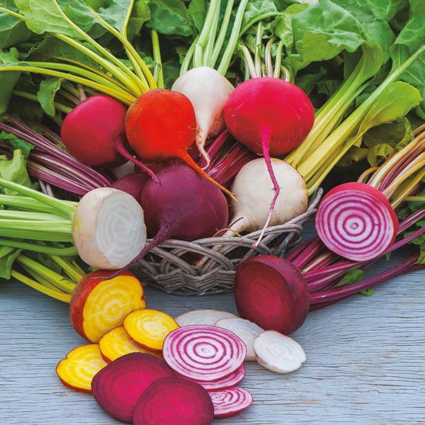 Beetroot Multicoloured Mixed Seeds