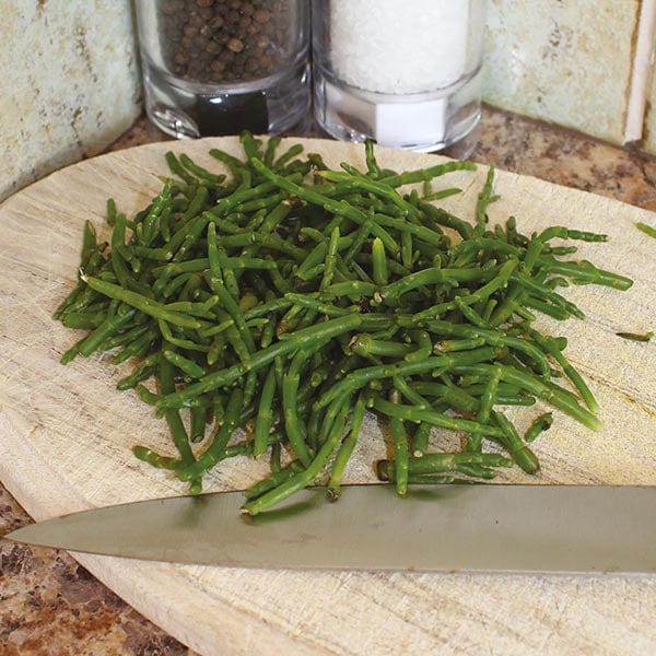 Samphire Seeds