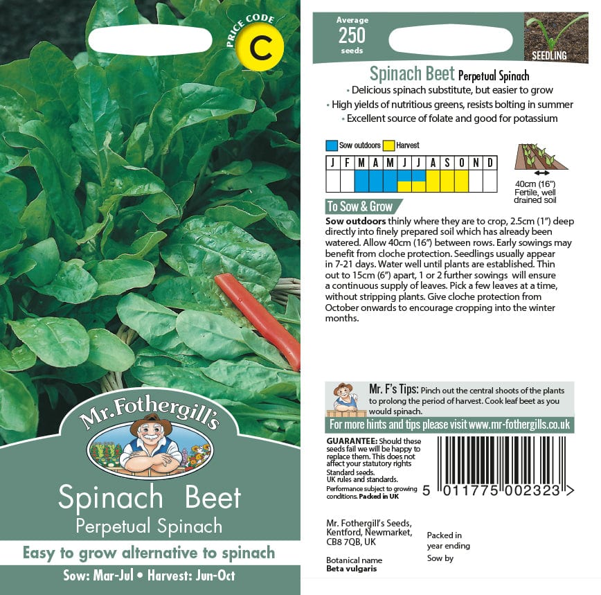 Beet Leaf Perpetual Spinach Seeds