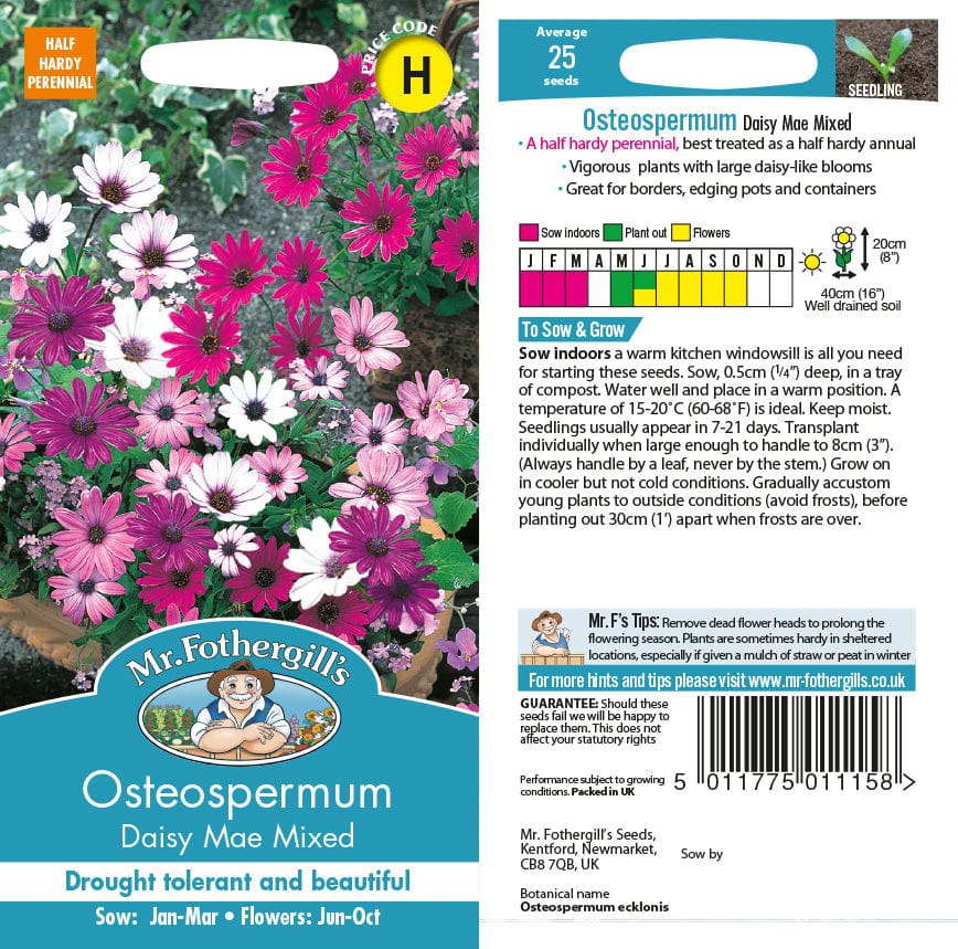 Osteospermum Daisy Mae Mixed Seeds