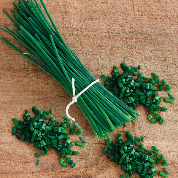 Chives Biggy Seeds