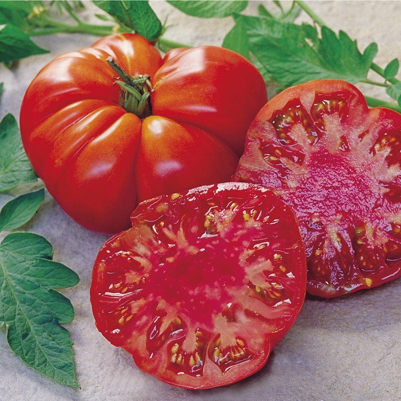 RHS Tomato Tomande F1