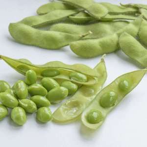 Soya Edamame Bean Summer Shell Vegetable Plants