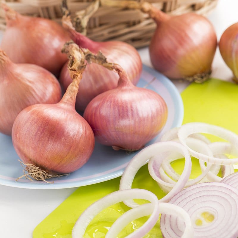 Onion Isobel Rose Vegetable Plants