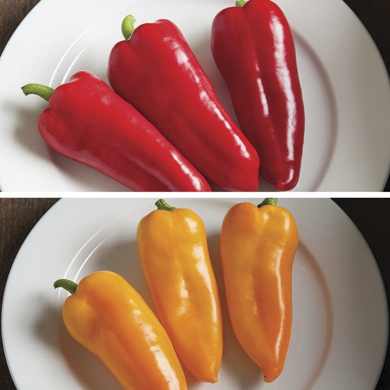 Pepper Cornitos Red & Yellow Mix