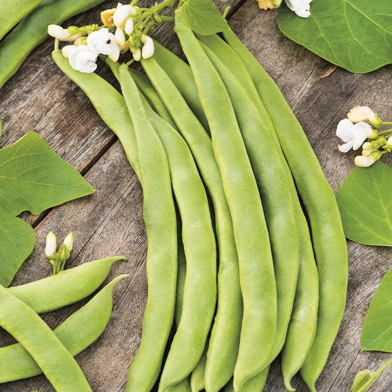 RHS Runner Bean Stardust Seeds