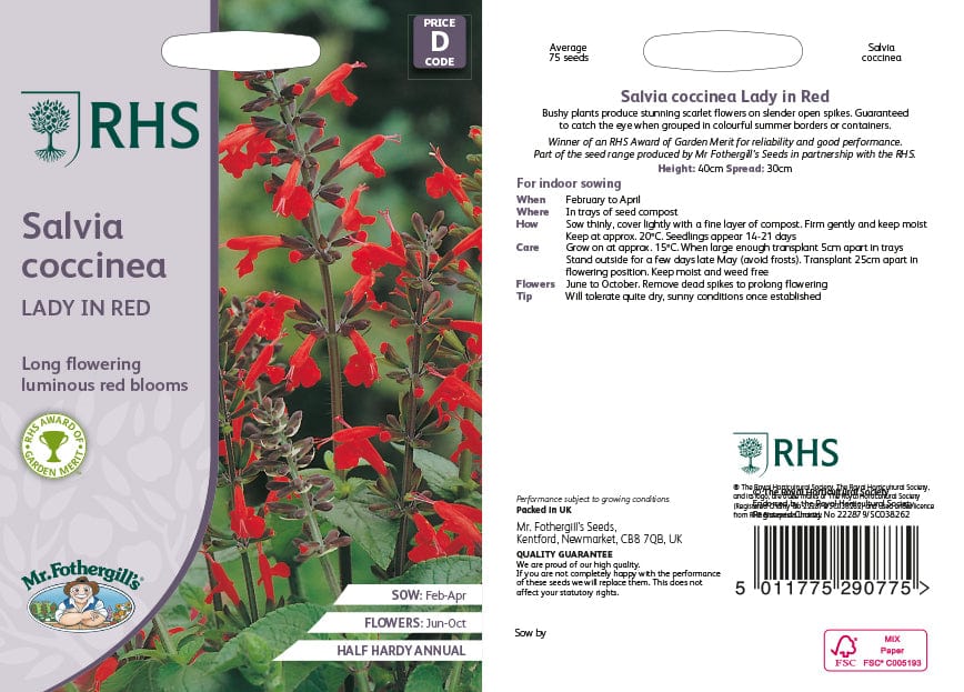 RHS Salvia Lady In Red Flower Seeds