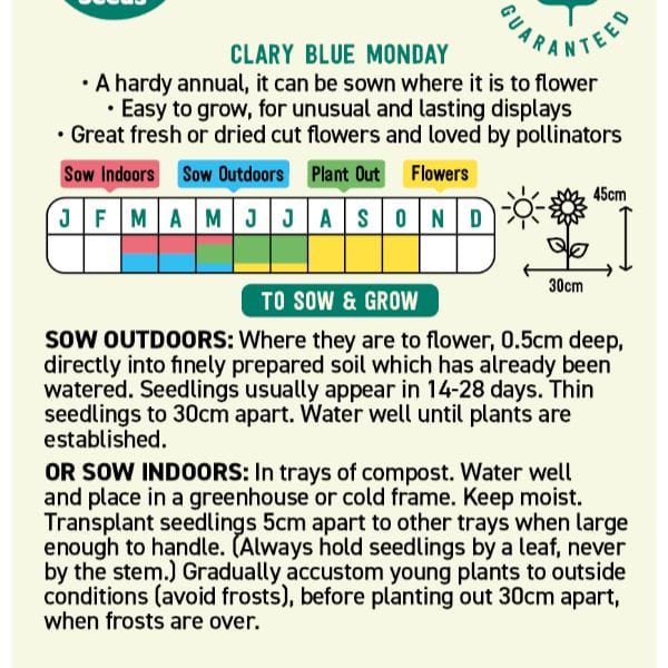 Clary Blue Monday Flower Seeds
