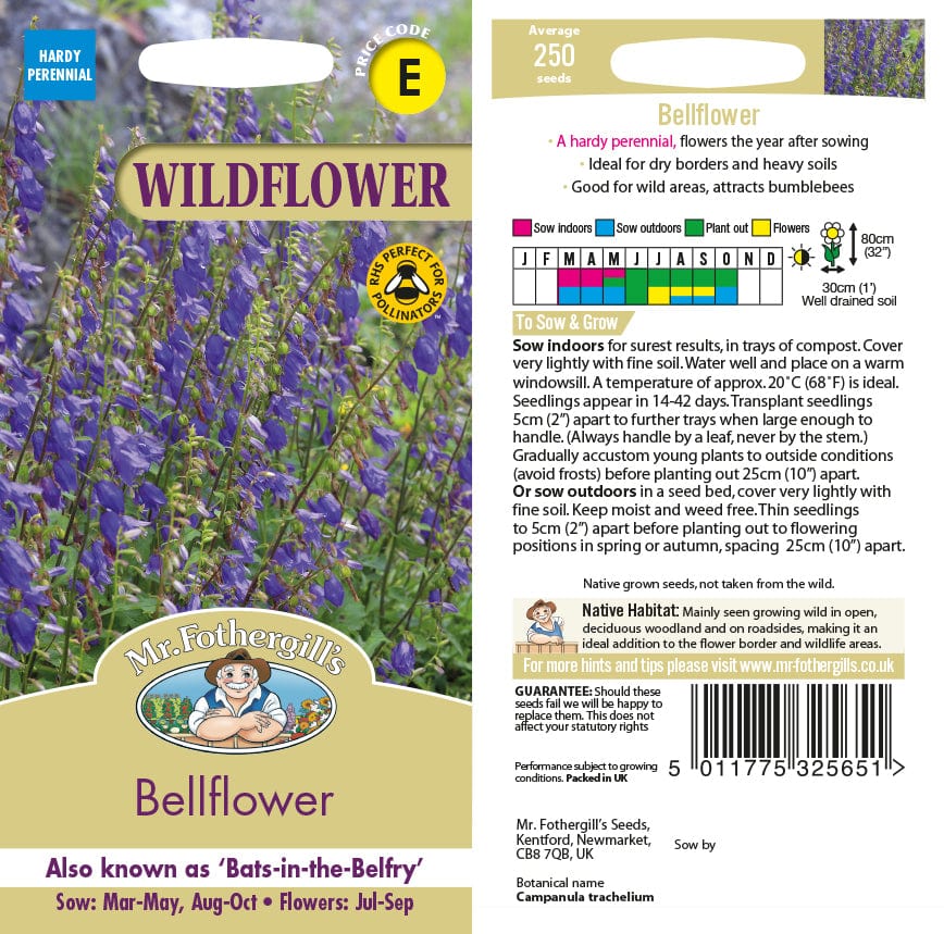 Bellflower Wildflower Seeds