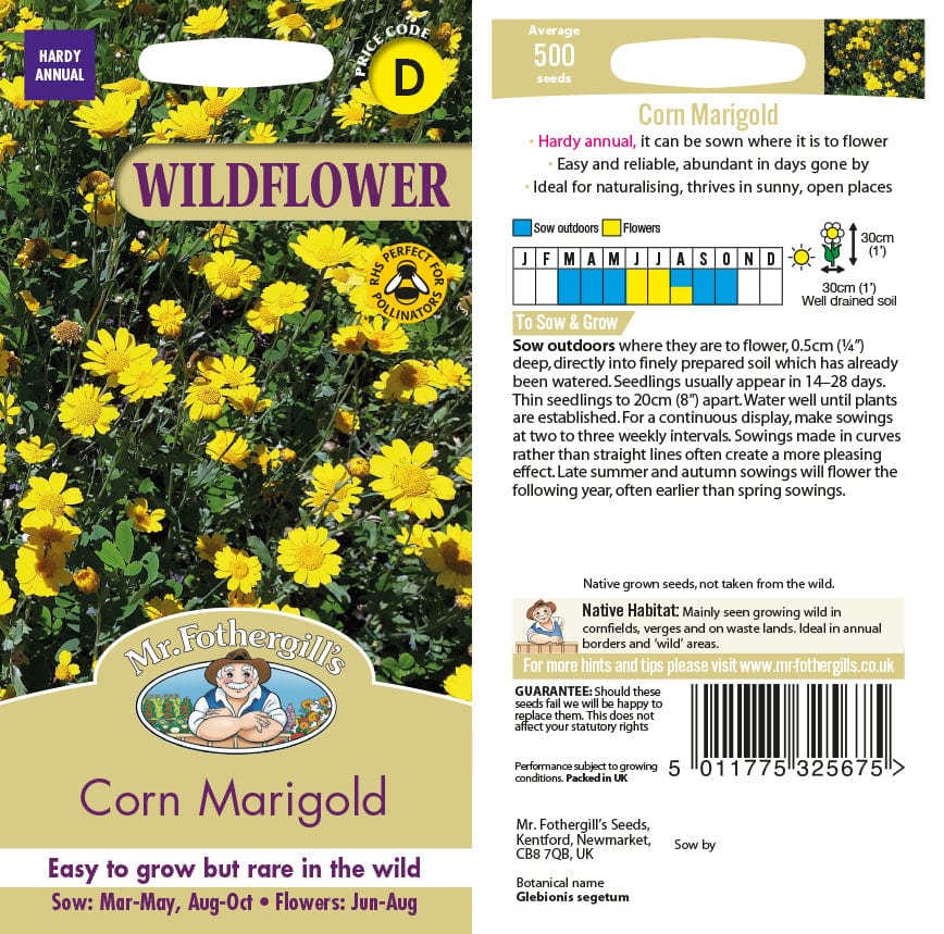 Corn Marigold Wildflower Seeds