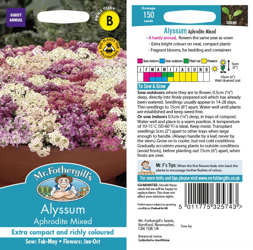 Alyssum Aphrodite Mixed Flower Seeds