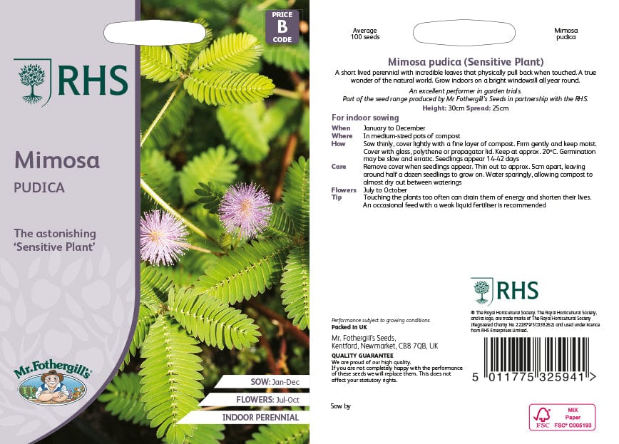 RHS Mimosa Pudica Flower Seeds