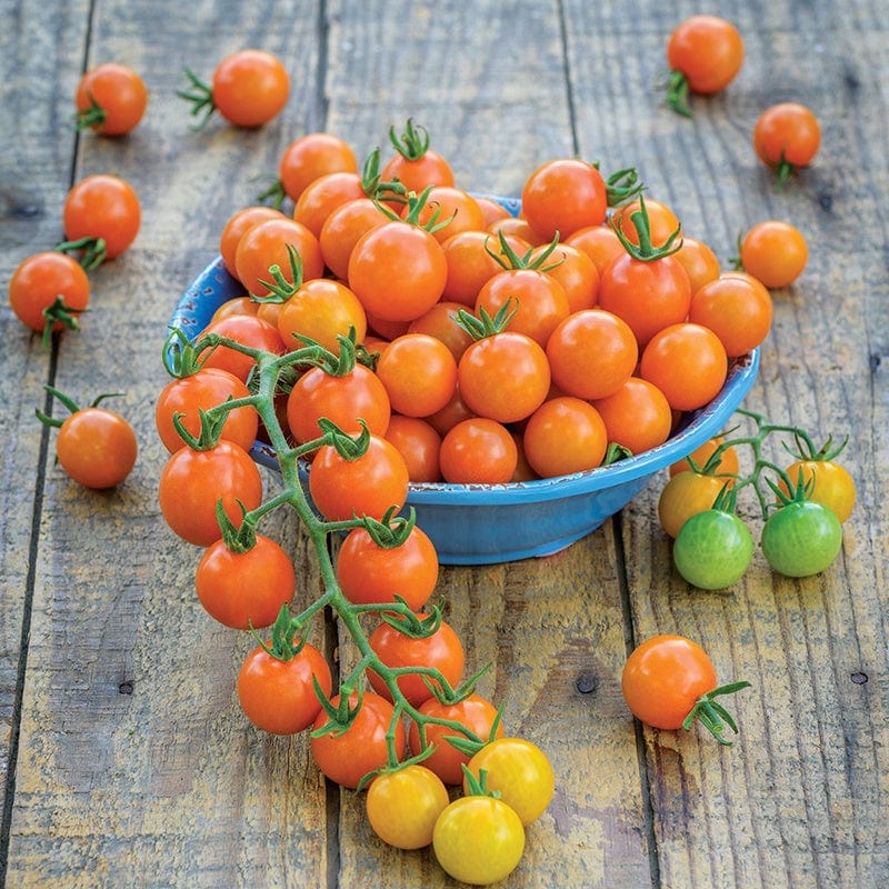 Tomato (Cherry) Honeycomb F1 Vegetable Seeds