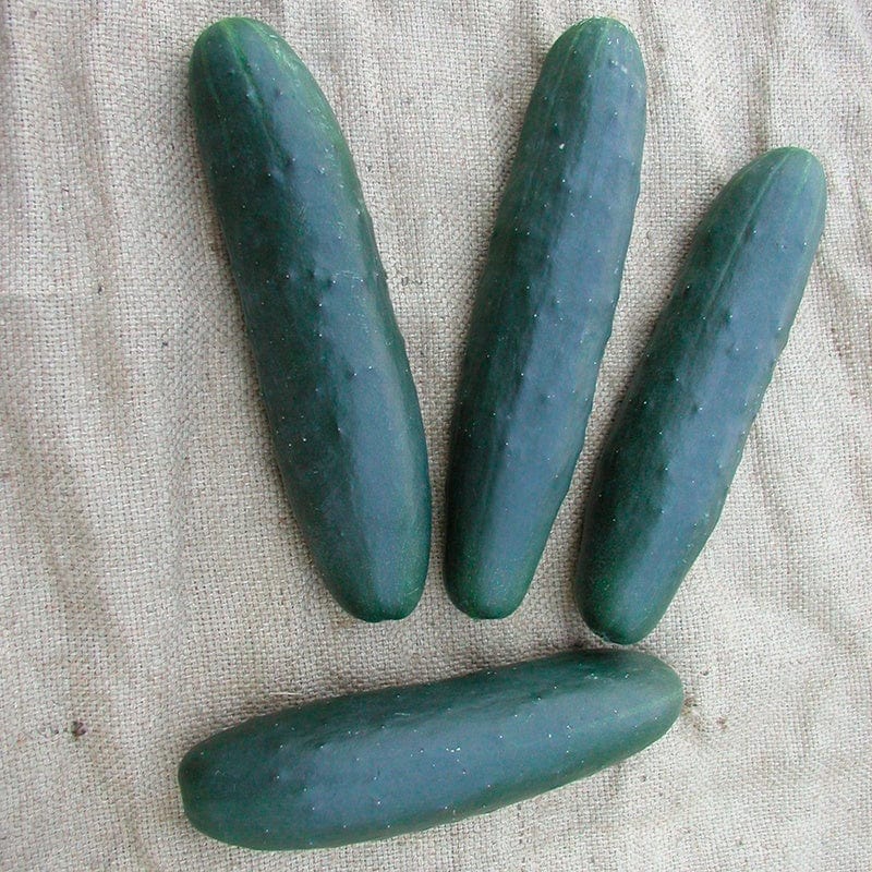 Cucumber Lili F1 Vegetable Seeds