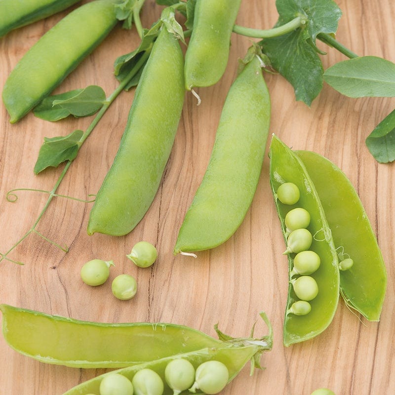 Pea (Snap) Sugar Sprint Vegetable Seeds