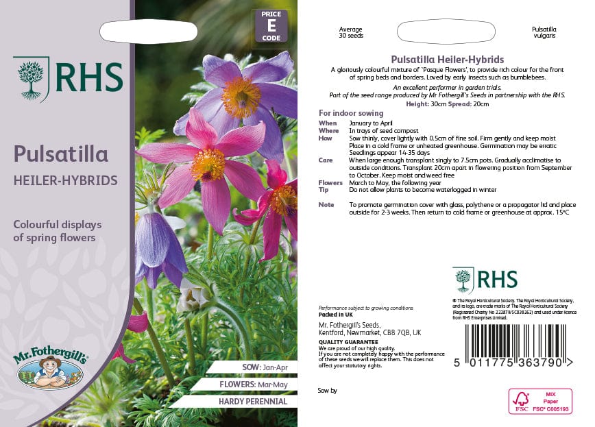 Pulsatilla Heiler-Hybrids Flower Seeds