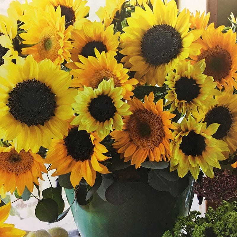 Sunflower Cutflower Mix Flower Seeds