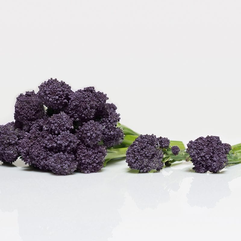 Broccoli (Sprouting) Burgundy F1 Vegetable Seeds