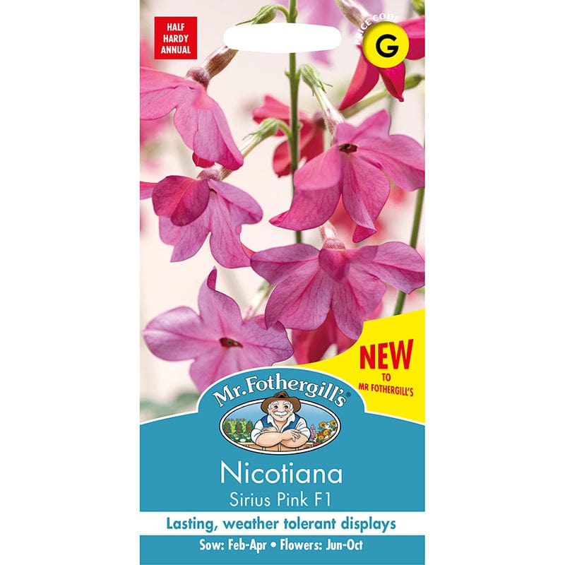 Nicotiana Sirius Pink F1 Seeds