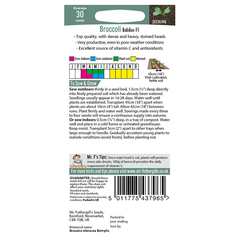 Broccoli Babilon F1 Seeds