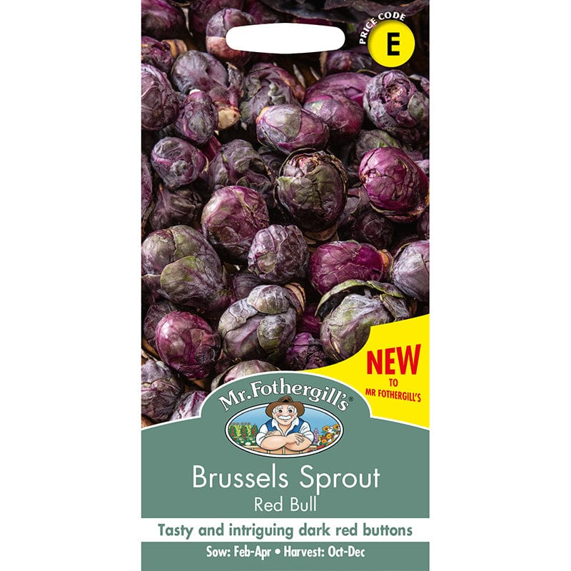 Brussels Sprout Red Bull Seeds