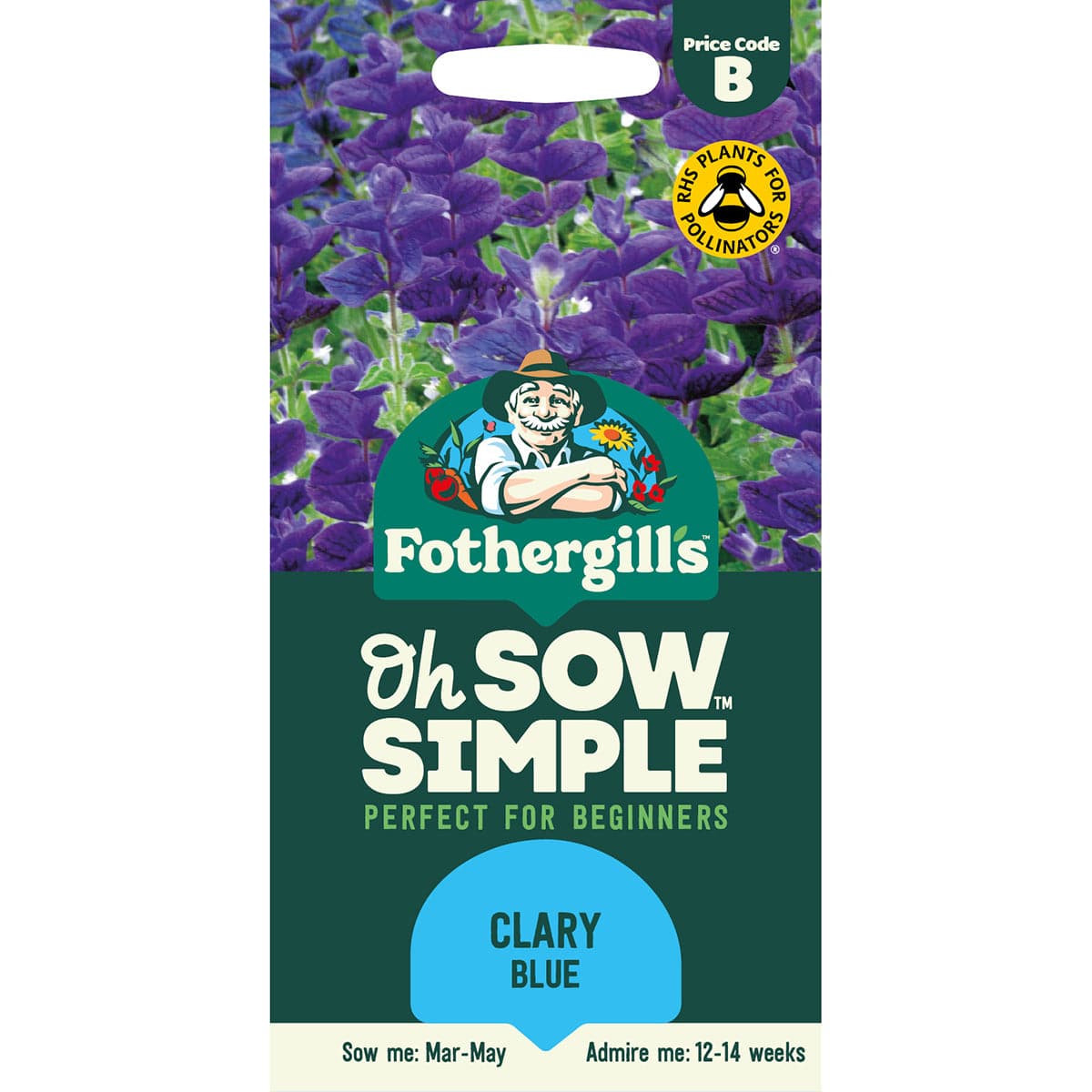 Oh Sow Simple - CLARY Blue Flower Seeds