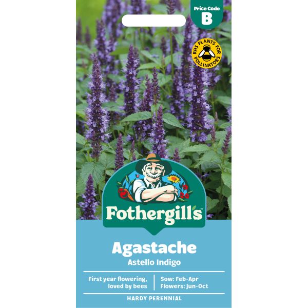 Fothergills Agastache Astello Indigo seed packet with a background of purple flowers.