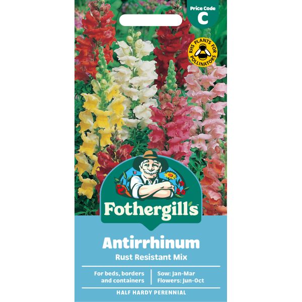 Fothergills Antirrhinum seed packet with colorful flowers on a white background